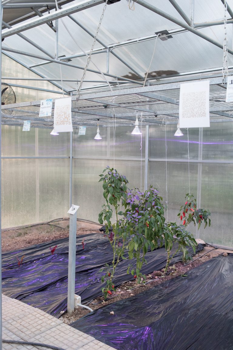 Researchers’ Night 2022