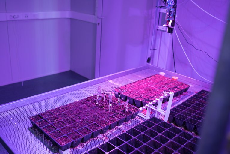 Researchers’ Night 2022